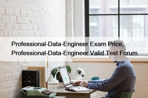Professional-Data-Engineer Exam Price, Professional-Data-Engineer Valid Test Forum
